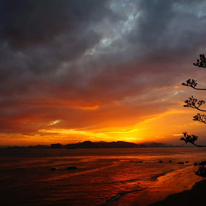 99热在线观看兔费观
