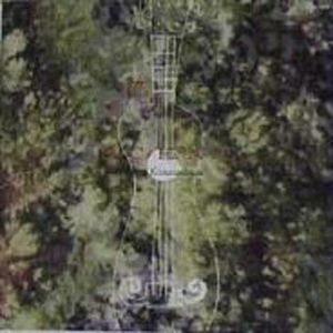 99热在线观看兔费观
